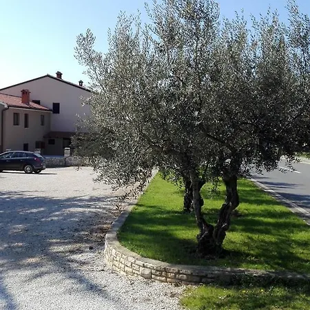 Luka Novigrad Istria