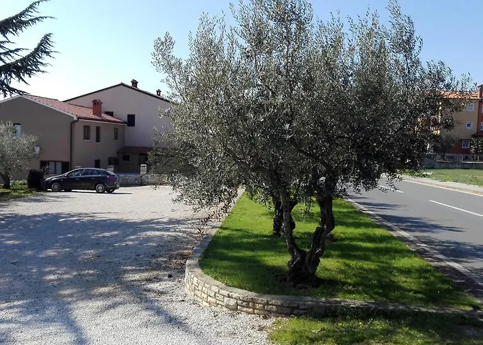 Luka Novigrad Istria